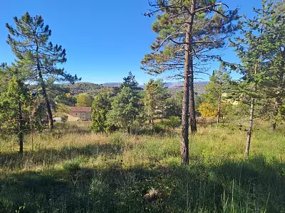 Terrain à bâtir, 611 m²