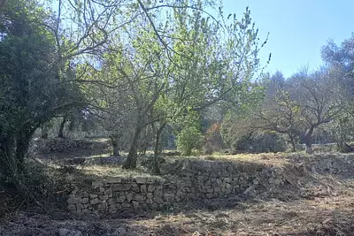 Maison neuve, 100 m²