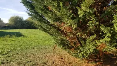 Terrain à bâtir, 600 m²