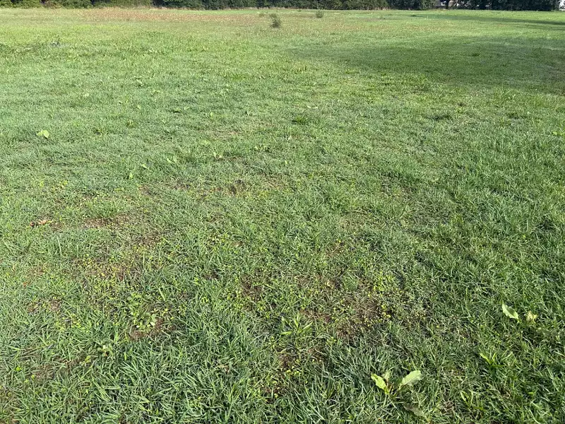 Terrain à bâtir, 390 m² - Aucamville (82600)