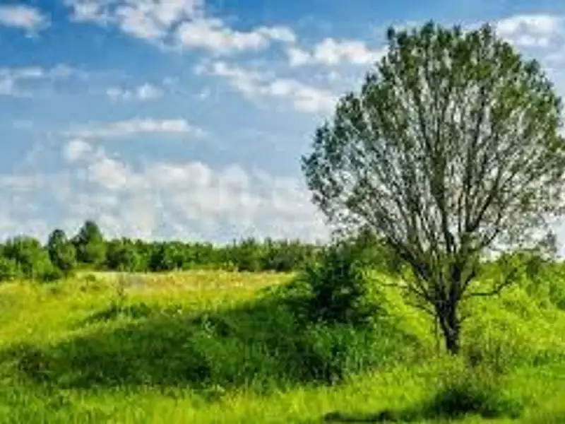 Terrain à bâtir, 500 m²