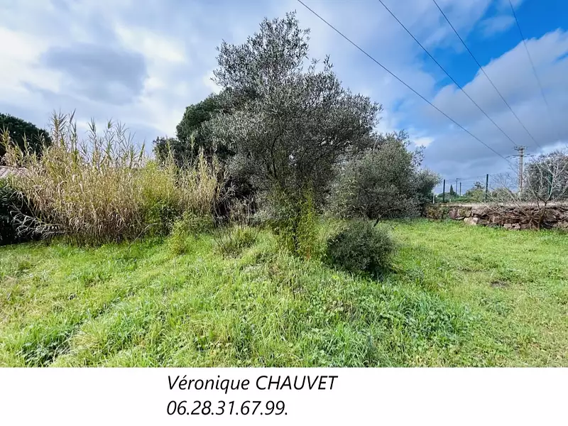 Terrain à bâtir, 647 m² - Puget-sur-Argens (83480)