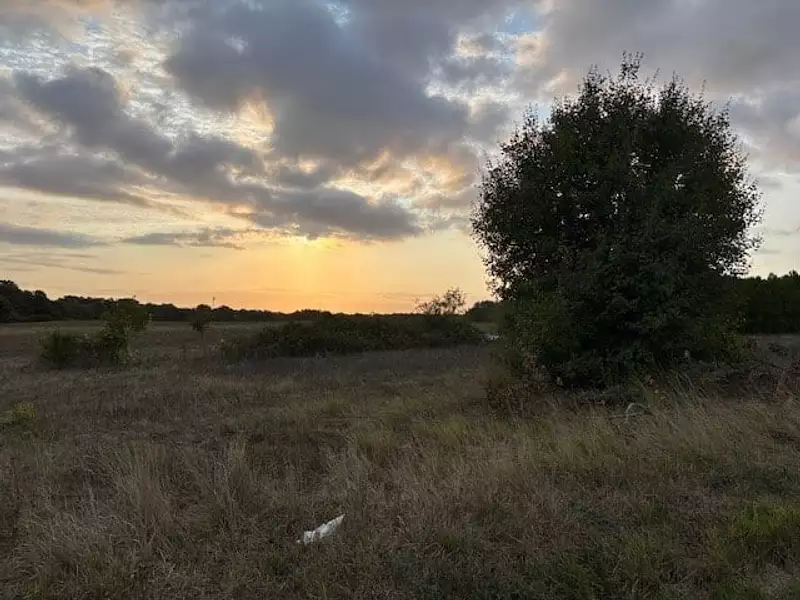Terrain à bâtir, 448 m² - Pont-l'Abbé-d'Arnoult (17250)