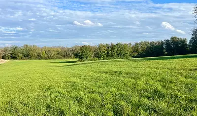 Maison neuve, 100 m²