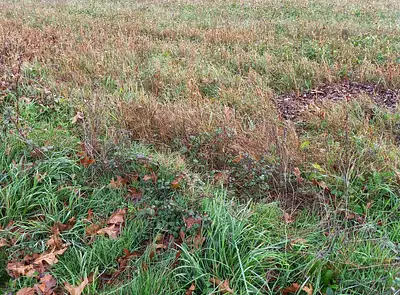 Terrain à bâtir, 1 000 m²
