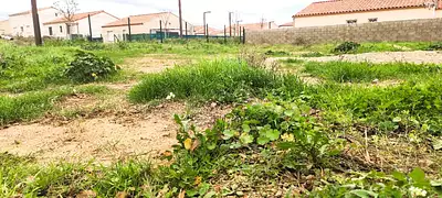 Terrain à bâtir, 457 m²