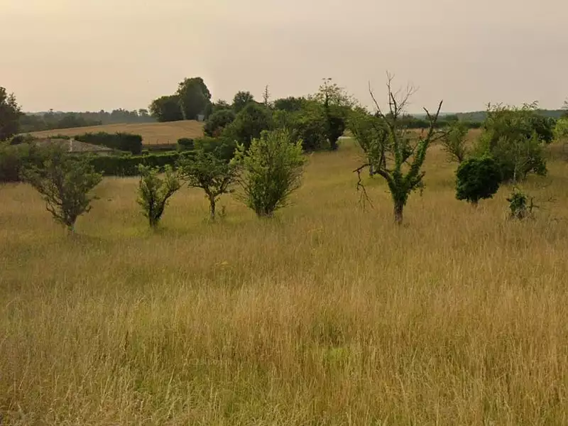 Terrain à bâtir, 1 829 m² - Cornille (24750)