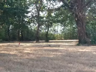 Terrain à bâtir, 850 m²