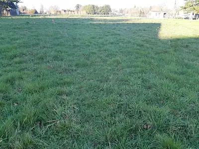 Terrain à bâtir, 1 200 m²