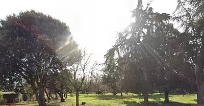 Terrain à bâtir, 1 205 m²