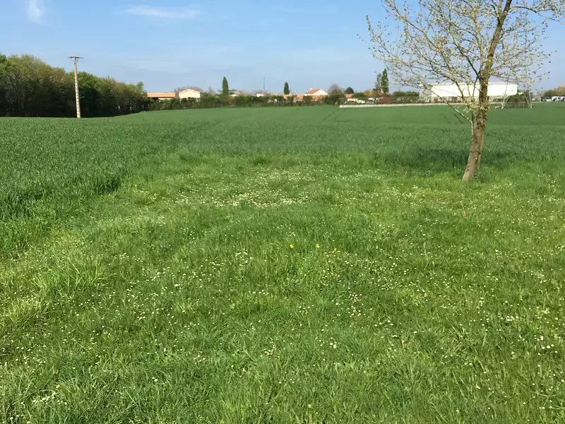 Terrain à bâtir - Echiré (79410)