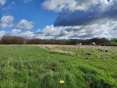 Terrain à bâtir, 549 m²
