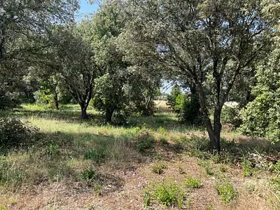 Terrain à bâtir, 1 700 m²