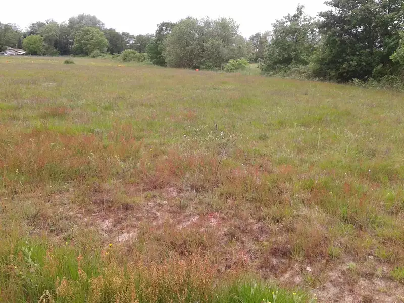 Terrain à bâtir, 655 m² - Cubzac-les-Ponts (33240)