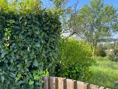 Maison neuve, 103 m²