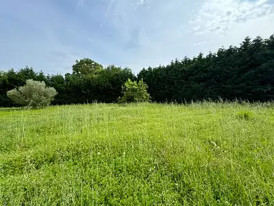 Terrain à bâtir, 1 373 m²