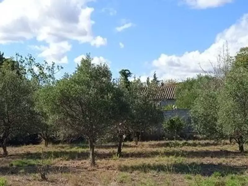 Terrain à bâtir, 2 300 m² - Azille (11700)