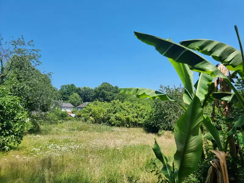 Terrain à bâtir, 2 158 m² - Lagraulière (19700)
