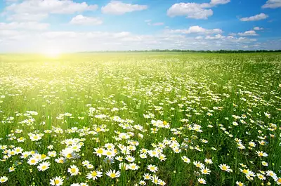 Terrain à bâtir, 636 m²