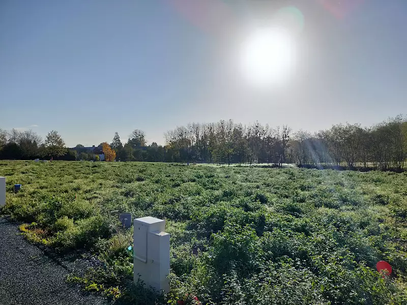 Terrain à bâtir, 551 m² - Domagné (35113)