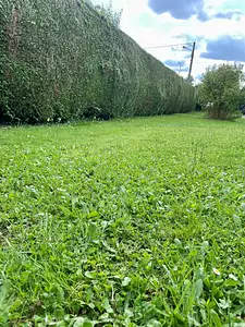 Terrain à bâtir, 584 m²