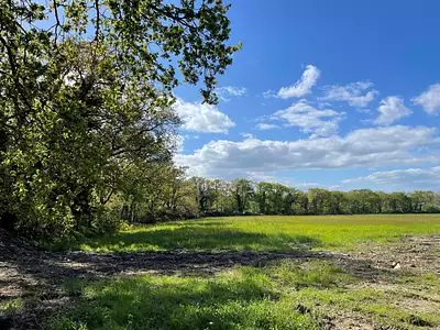 Terrain à bâtir, 503 m²
