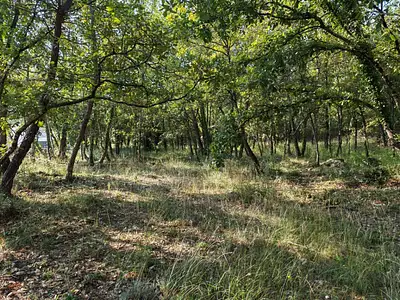 Terrain à bâtir, 717 m²