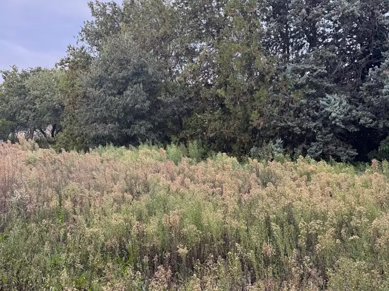 Terrain à bâtir, 1 160 m² - Saint-Mitre-les-Remparts (13920)