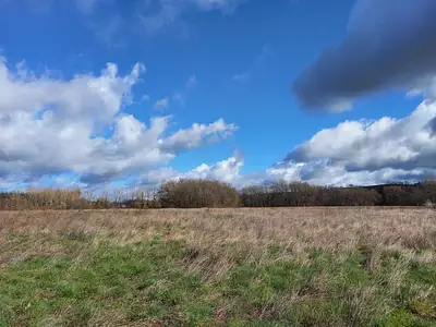 Terrain à bâtir, 681 m²