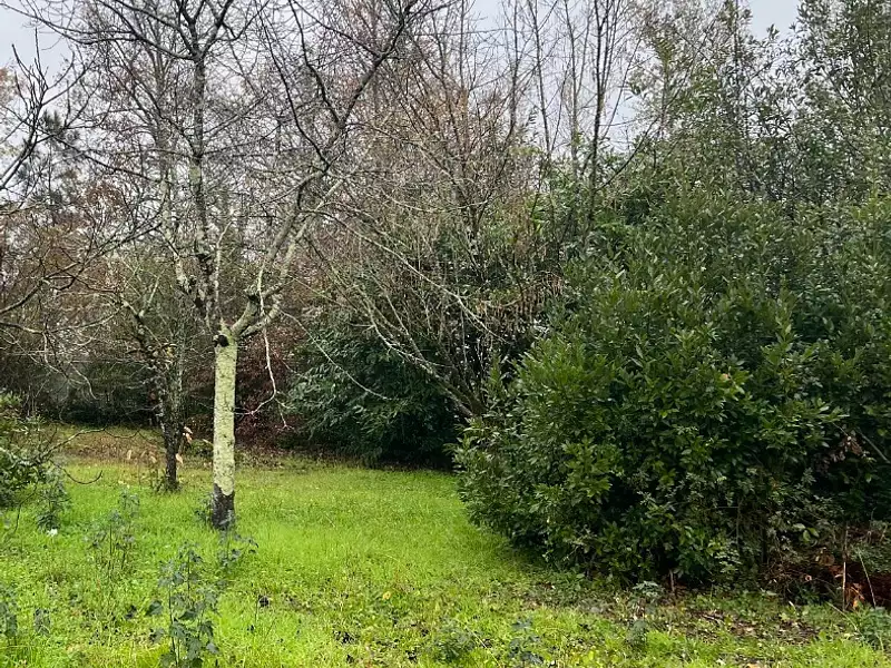 Terrain à bâtir, 700 m² - Arsac (33460)