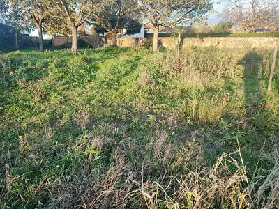 Maison neuve, 100 m²