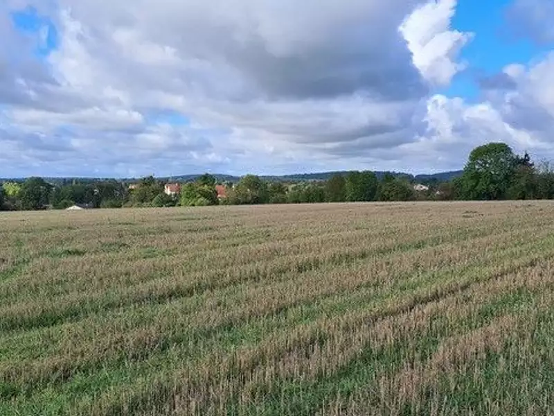 Maison neuve, 110 m² - Phaffans (90150)