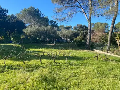 Maison neuve, 50 m²