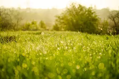 Terrain à bâtir, 1 130 m²