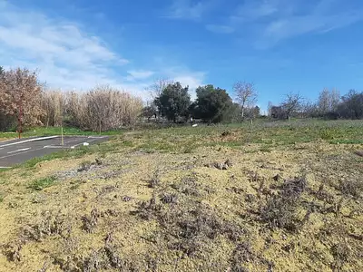 Terrain à bâtir, 652 m²