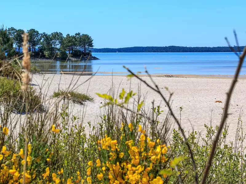 Terrain à bâtir, 604 m² - Hourtin (33990)