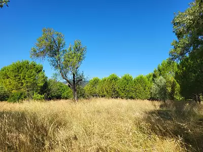Terrain à bâtir, 1 300 m²
