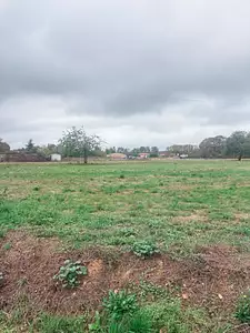 Terrain à bâtir, 800 m²