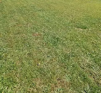 Terrain à bâtir, 539 m²