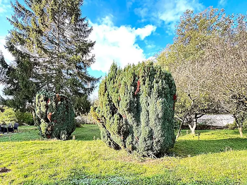 Maison neuve, 120 m² - Crêches-sur-Saône (71680)