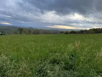 Terrain à bâtir, 1 800 m² - Burlats (81100)