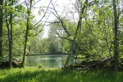 LE DOMAINE VEIL PICARD