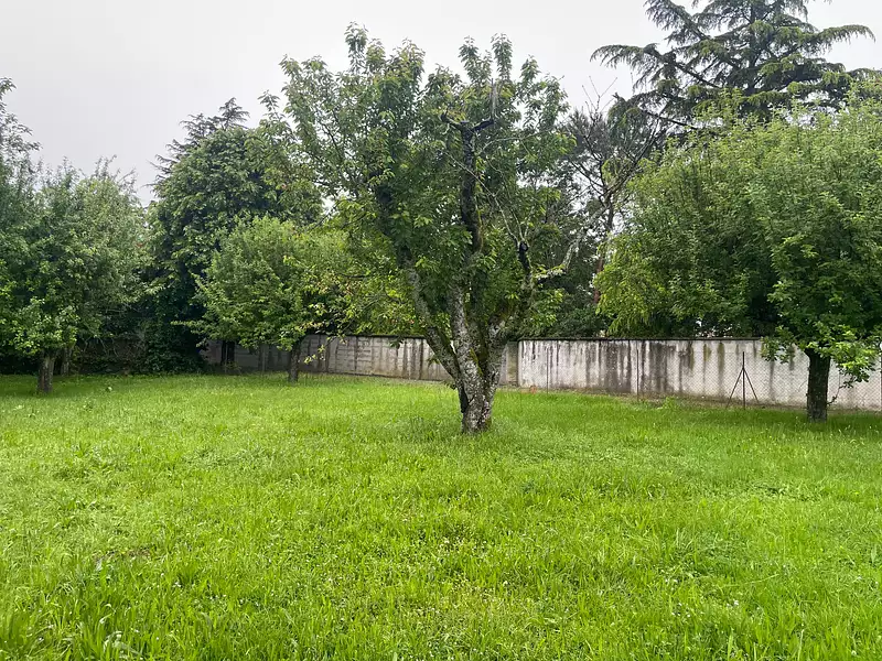 Terrain à bâtir, 1 252 m² - Senozan (71260)