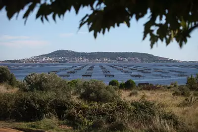 Terrain à bâtir, 1 000 m²