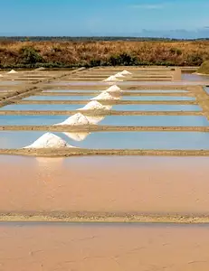 Les Salines