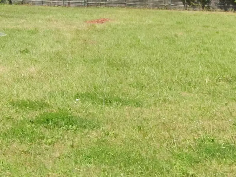 Terrain à bâtir, 600 m² - Barsac (33720)