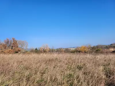 Maison neuve, 50 m²