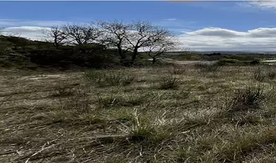 Maison neuve, 105 m²