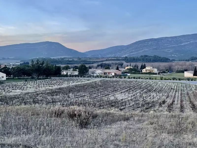 Maison neuve, 105 m² - Ribaute (11220)