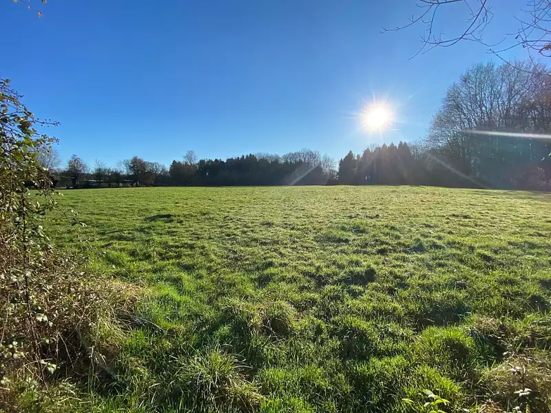 Maison neuve, 98 m² - Grangues (14160)